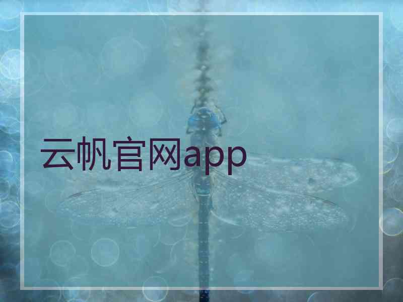 云帆官网app