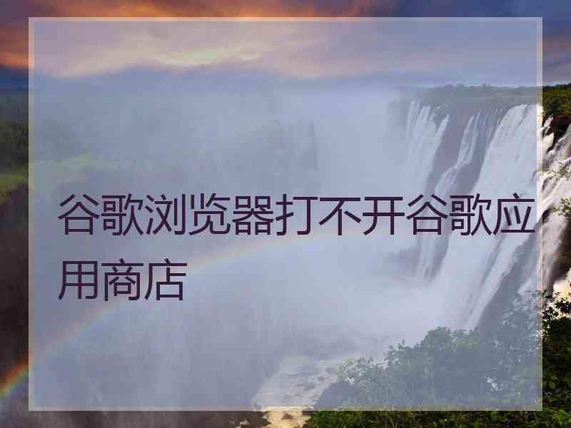 谷歌浏览器打不开谷歌应用商店